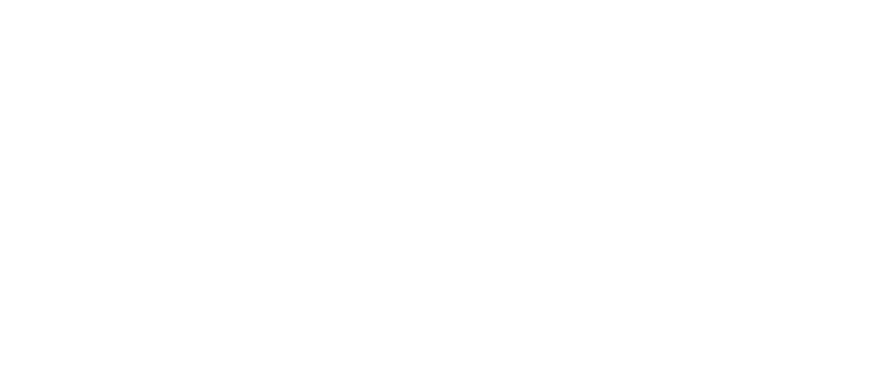 AEROMET Aircraft Services